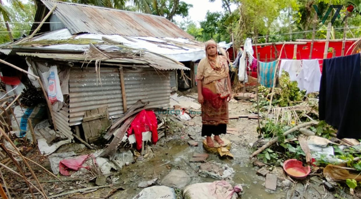 Crops Destroyed, Livelihoods Lost: Pirojpur Post-Cyclone Remal Struggle. V7N